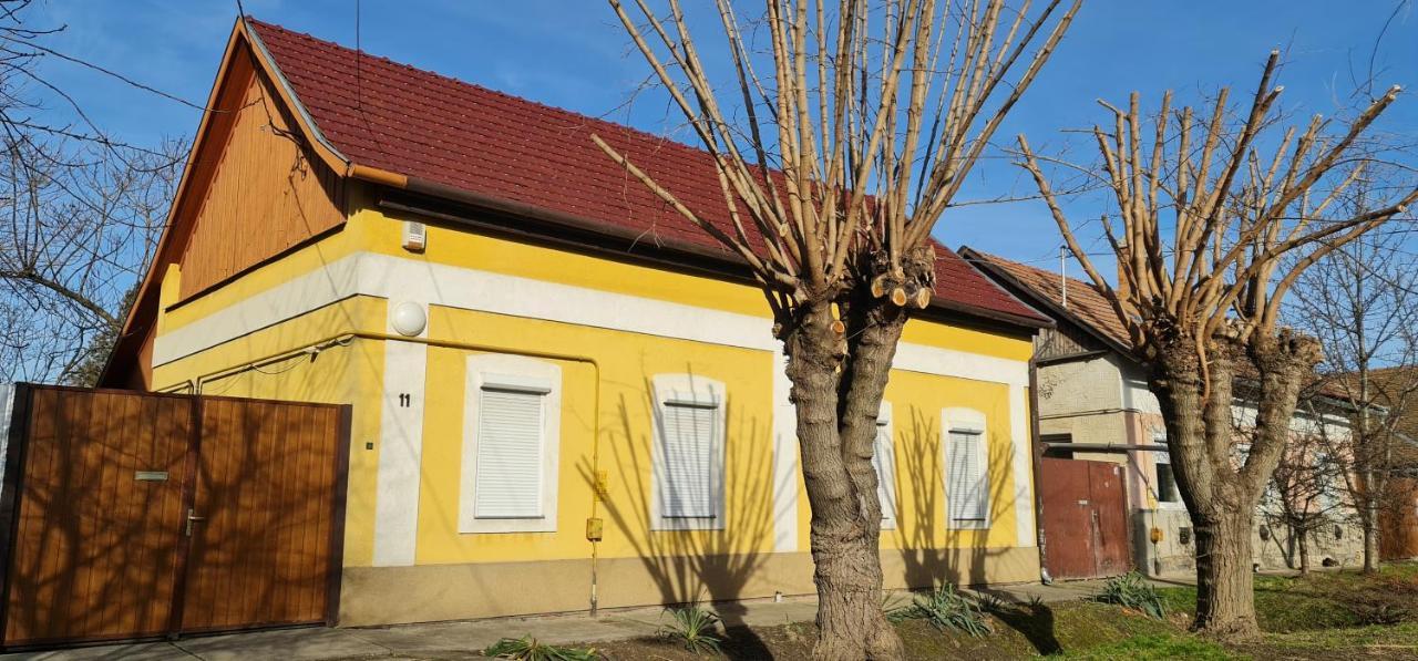 Koelcsey Vendeghaz Apartment Hódmezővásárhely Exterior foto