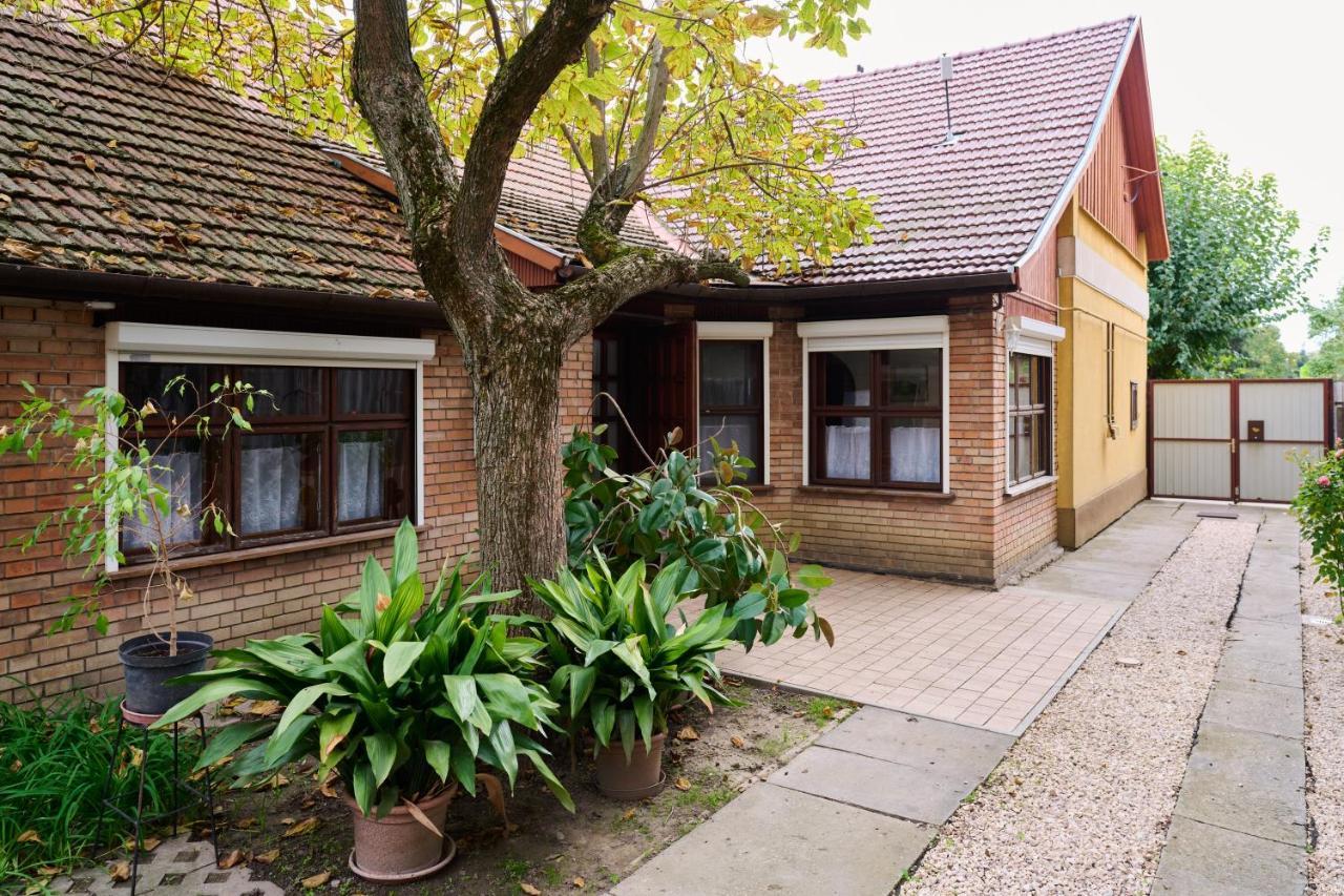Koelcsey Vendeghaz Apartment Hódmezővásárhely Exterior foto